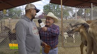 Tierra Fértil Tv - Producción caprina y sus derivados ( 17.02.24)