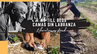 Soul Fire Farm Liberation on Land Video Series – No-Till Beds // Camas sin Labranza