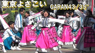 [東京よさこい]GARAN43/35°