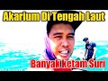 Di tengah Laut banyak ketam Suri _Kerapau Besar2