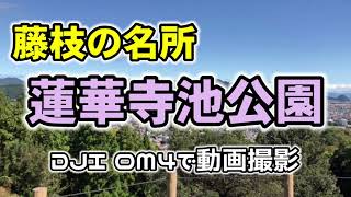 無料施設『藤枝市 蓮華寺池公園 』スマホ ジンバル OM4で撮影した記録