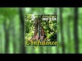CONFIDENCE (Jacques Stotzem)