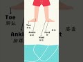 20個中英文身體部位單字 are you ready to move let’s find your body parts 🎉  shorts sightwords kidslearning