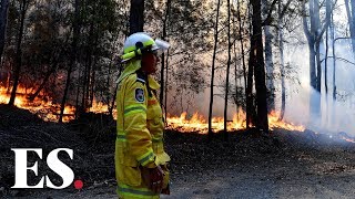 Bushfires in Australia: Queensland ravaged by record wildfire emergencies