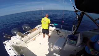 Strike in Diretta Tuna Sea