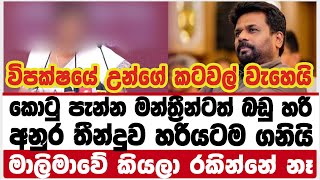 කොටු පැන්න මන්ත්‍රීන්ටත් බඩු හරි|අනුර තීන්දුව හරියටම ගනියි|මාලිමාවේ කියලා රකින්නේ නෑ|ANURA|NPP|AKD