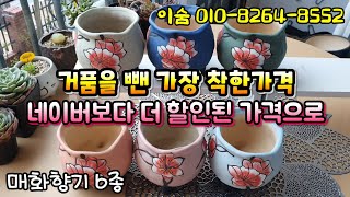 #이숨(010-8264-8552) 협찬 #착한가격의대명사 #화분가장싼곳 #거품없이합리적인가격 #부담없는화분 #Succulentplantpot