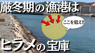 真冬のヒラメ釣りで超簡単に大物を釣る方法