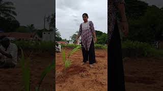 ಮಣ್ಣಿನ ಜೊತೆ ಸಂಬಂಧ🌾🌱