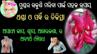 ଅଗସ୍ତି ଗଛର ଔଷଧୀୟ ଗୁଣ । Agasti tree । agasti tree benefits in odia ।