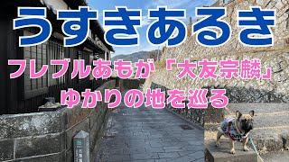 【大分県臼杵市】フレブルあもが「うすきあるき」大友宗麟ゆかりの地を巡る！