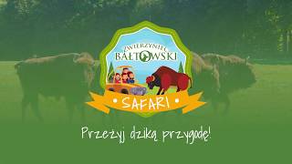 Zwierzyniec Bałtowski - SAFARI