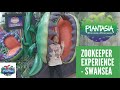 PLANTASIA TROPICAL ZOO - SWANSEA - ZOOKEEPER EXPERIENCE