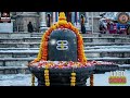 ಜೈ ಶಂಕರ್ shiva whatsapp status song shiva @hanumamohanageethe9734