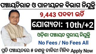 ଓଡ଼ିଶା ପଞ୍ଚାୟତ ସ୍ତରୀୟ ନିଯୁକ୍ତି ୨୦୨୪/Odisha Panchayat Jobs 2024/Odisha Job Updates