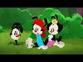 Animaniacs 2020 - What Is That?