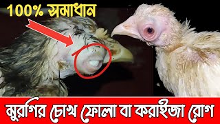 মুরগির চোখ দিয়ে পানি পড়া, চোখ ফোলা ,করাইজা রোগের  সঠিক চিকিৎসা || murgir thanda Osud #krishitips