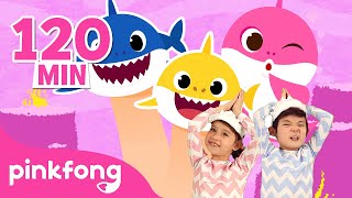 Baby Shark en français - Nos Chansons BEST | +Comptines | PInkfong ! Chansons pour Enfants