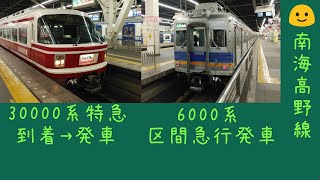 南海高野線　30000系特急りんかん号到着＆発車　6000系区間急行発車