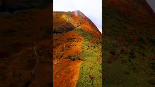 Where is this Colorful Mountain? #kurikoma #mountain #autumn #japan #travel