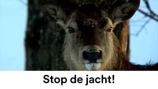 Stop de jacht!