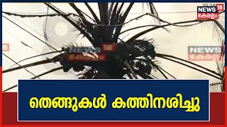 തീപിടുത്തത്തിൽ തെങ്ങുകൾ അടക്കം കത്തിക്കരിഞ്ഞു; തീ അണയ്ക്കാനുള്ള ശ്രമങ്ങൾ തുടരുന്നു | Trivandrum Fire