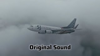 Sriwijaya Air Flight 182 - Crash Animation (Original Sound)