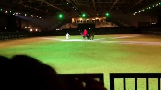 FEDERICO FORCI Il Principe e la fanciulla.. Fantasia a cavallo gran galà Roma fiera cavalli 2016