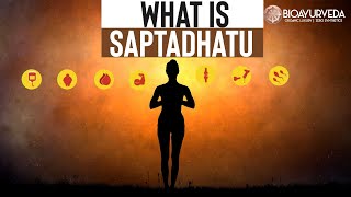 WHAT IS SAPTA DHATU \u0026 THE EFFECT OF SAPTA DHATU ON OUR BODY