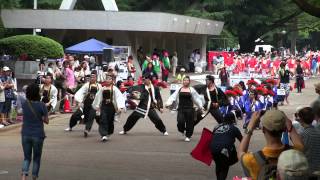 第9回よさこい祭りin光が丘公園(2015/7/19)「夏龍颯爽」