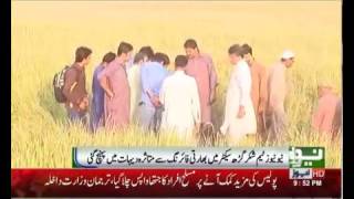 Loc India Firing Shakargarh village Exclusive Report by Zubair Sajid Dhillon