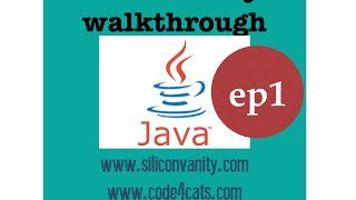 Codecademy Java Conditionals Control Flows Lesson 1 & 2