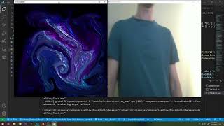 opticalflow fluid