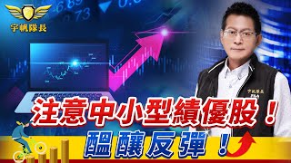 「宇帆隊長」10.25 10:00 LIVE直播  - 注意中小型績優股！醞釀反彈！