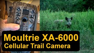 Moultrie Mobile Setup and XA-6000 Cellular Trail Camera review