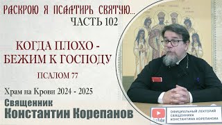 Часть 102 цикла бесед иерея Константина Корепанова 