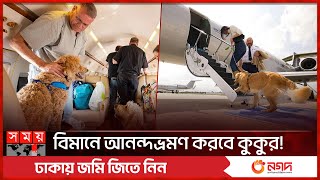 কুকুরের জন্য চালু হলো বিশেষ ফ্লাইট | BARK Air | New Airline Designed Specifically For Dogs | SomoyTV