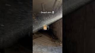 This is why you need to wear a respirator while urban exploring…