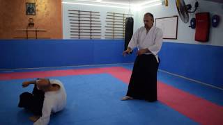 Yuki Aikido