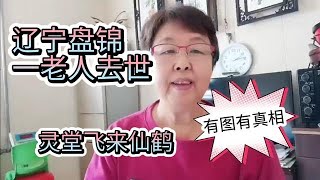 辽宁盘锦老人去世，灵堂飞来仙鹤送行！令人称奇，都说老人有福！