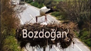 Bozdoğan / Aydın || Bölüm 3