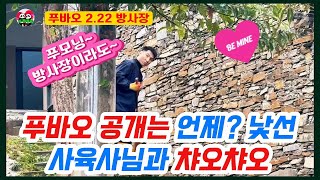 🍒푸바오 2.22 어제의 푸모닝에 설렜는데💥방사장에 어떤 변화가 있는지 둘러보기 #송바오푸바오 #푸바오근황 #푸오실시간 #fubao #푸바오 #福宝 #푸바오송바오 #푸바오공개