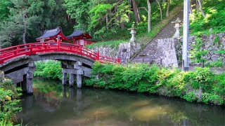 じゅんじゅんの風雨来記4 9日目