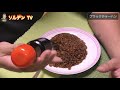 【黒チャーハン】の作り方　鬼美味い！