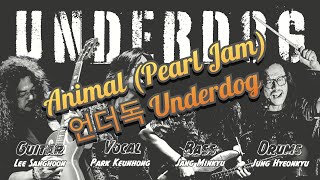 #드러머정현규│#Animal (Pearl Jam)│언더독 Underdog│#북쟁이락규