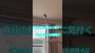 ヨーヨー練習した結果