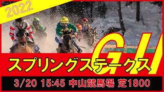 重賞予想 2022年3月20日スプリングS【過去データ＋推奨馬・対抗馬紹介動画】