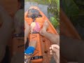 a pescaria deu boa trairanofrog pescaria fishing pescadetraira pesca trairao