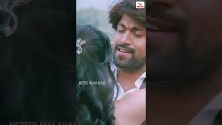 നീയില്ലാതെ എനിക്ക് ജീവിതമില്ല | Kgf Yash | Radhika Pandit | #lovestatus #yash #kgf