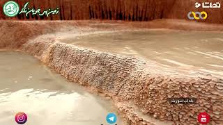 Badab soort